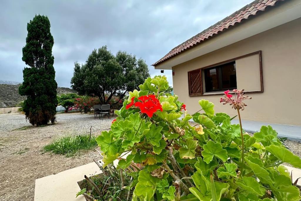 Вилла Peaceful Oasis With Magical Sea Views And A Pool Санта-Крус-де-Тенерифе Экстерьер фото